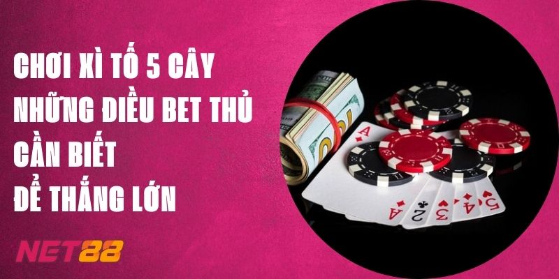 Chơi Xì Tố 5 Cây Net88: Những Điều Bet Thủ Cần Để Thắng Lớn