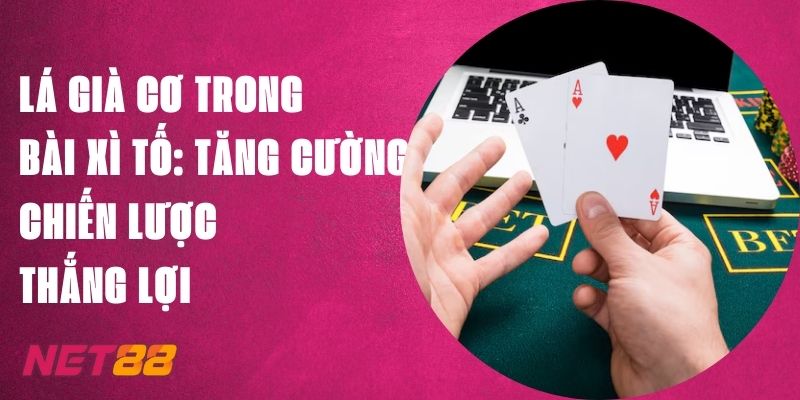 Lá Già Cơ Trong Bài Xì Tố: Net88 Đưa Chiến Lược Thắng Lợi